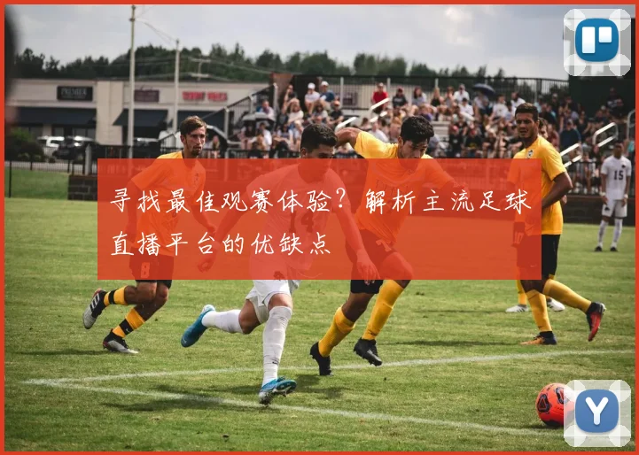 寻找最佳观赛体验？解析主流足球直播平台的优缺点