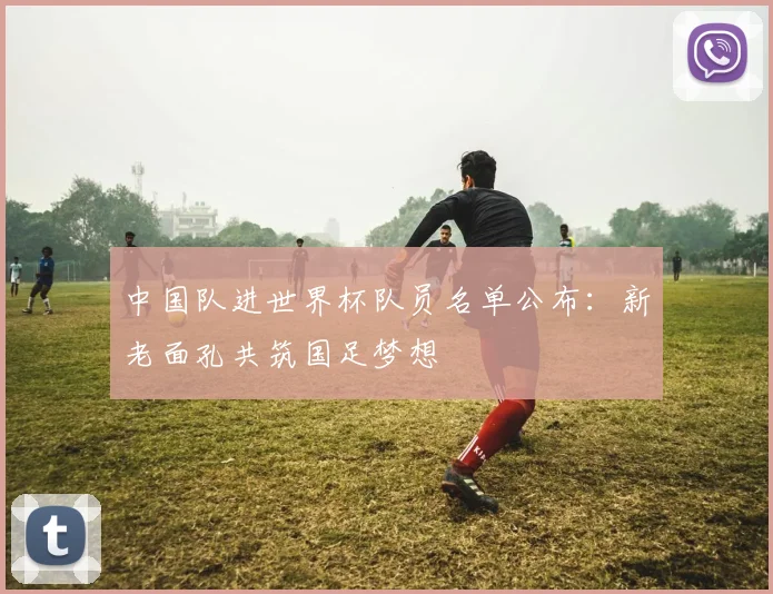中国队进世界杯队员名单公布：新老面孔共筑国足梦想