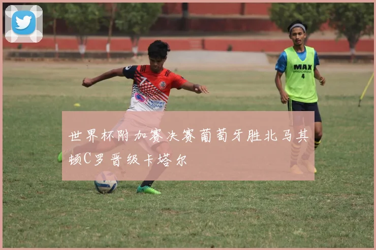 世界杯附加赛决赛葡萄牙胜北马其顿C罗晋级卡塔尔