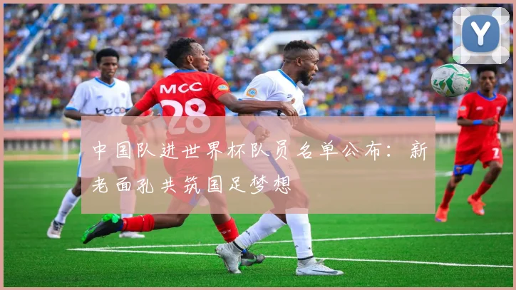 中国队进世界杯队员名单公布：新老面孔共筑国足梦想